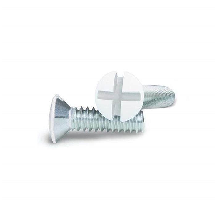 Blank Wall Plate with Screws	