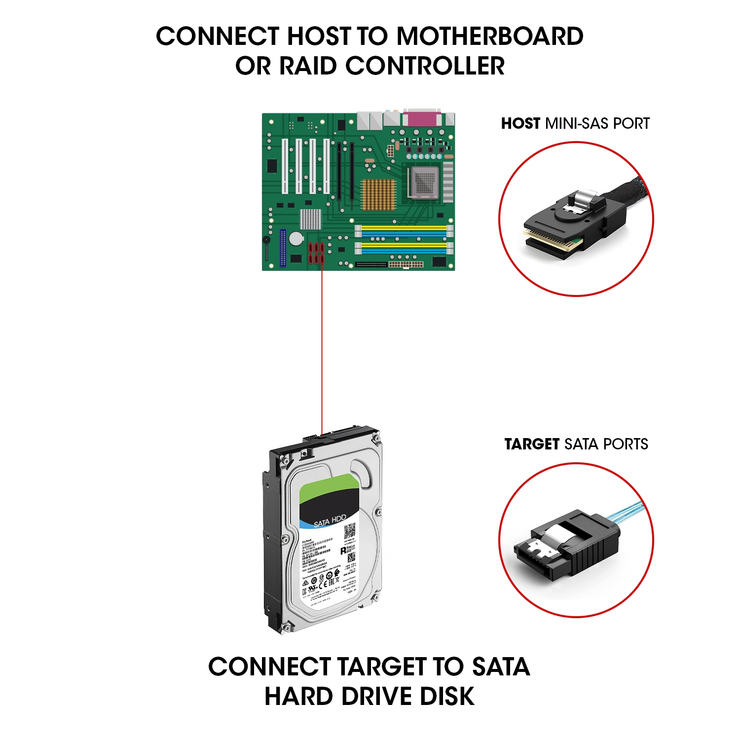 0.5m Internal Mini SAS SFF-8087 Male to 4 SATA Forward Breakout Female Cable,Hard Drive Data Transfer Cable 1.6feet 