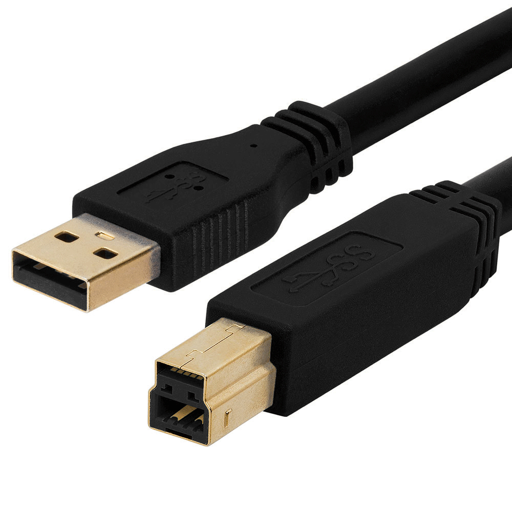 Ugyldigt Stillehavsøer Helligdom USB 3.0 A Male to B Male cable gold-plated - 3Feet